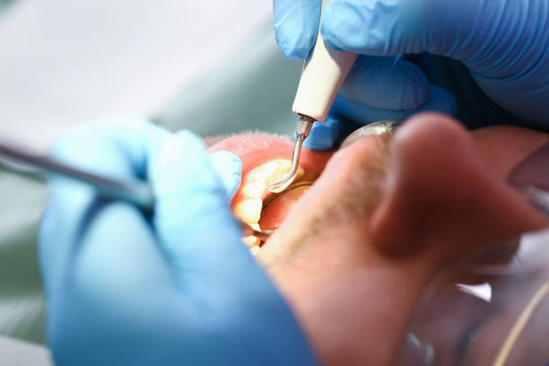 Best Emergency Orthodontic Services in North Muskegon, MI